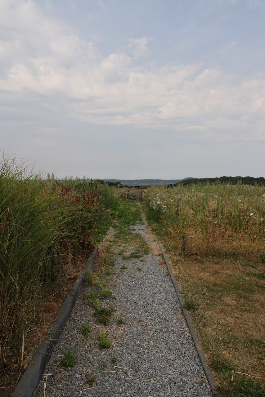 Pad door het veld — rust en ruimte